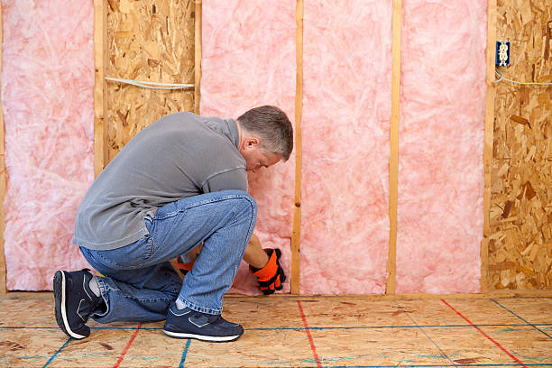 Best Insulation Replacement Services  in Lusk, WY